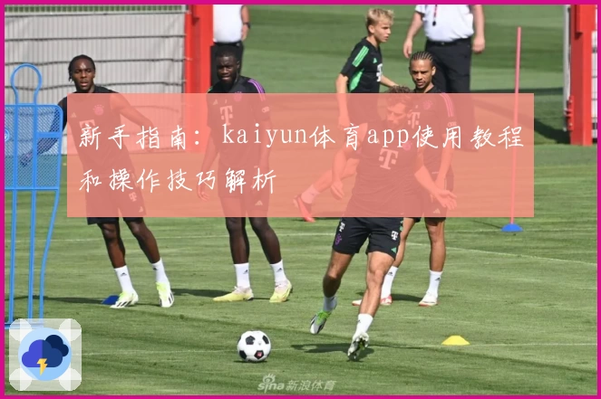 新手指南：kaiyun体育app使用教程和操作技巧解析